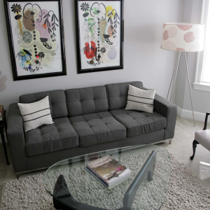 Modern home with clean carpet